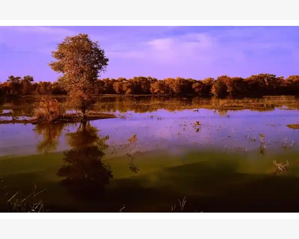 天虹B2B平台供应商入驻全流程_天虹B2B平台供应商入驻全流程