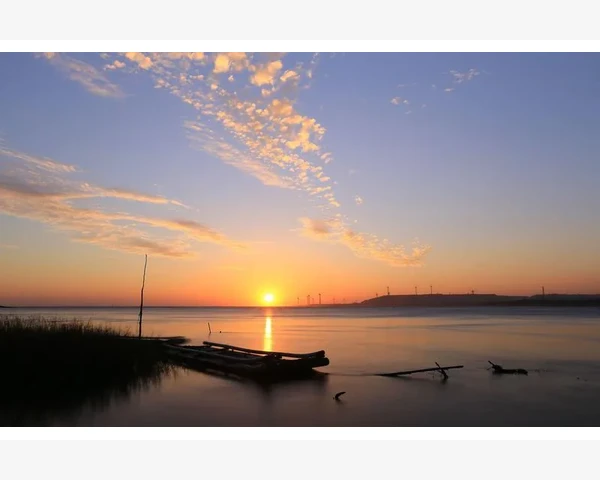 用线上展示撬动线下信任_跨境物流清关服务借B2B平台对接外贸企业需求