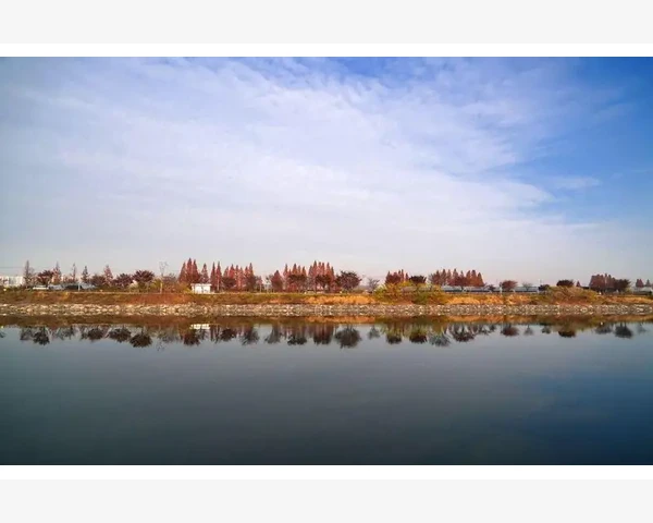 MT4买卖量指标跳动量与真实成交的差别_MT4的“量”到底从哪来