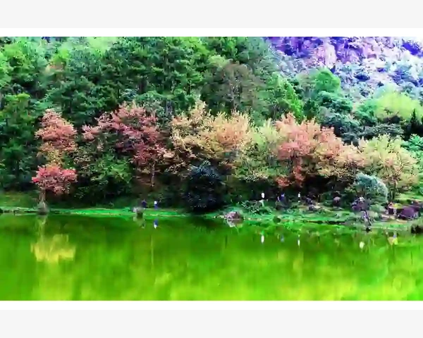 MT4同步市场消息那几天熬心费力总算理出头绪_图表区域颜色设置是第一步也是最直观的修改