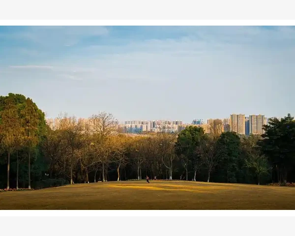 MT4平行线通道绘制技巧从趋势线到平移复制