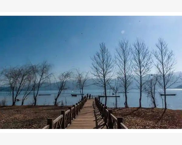MT4交易摘要关键数据怎么看懂盈亏胜率笔数_MT4交易摘要关键数据怎么看懂盈亏胜率笔数