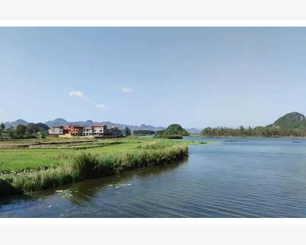 MT4连接异常排查思路与网络修复实操_MT4软件设置与系统防火墙的干扰