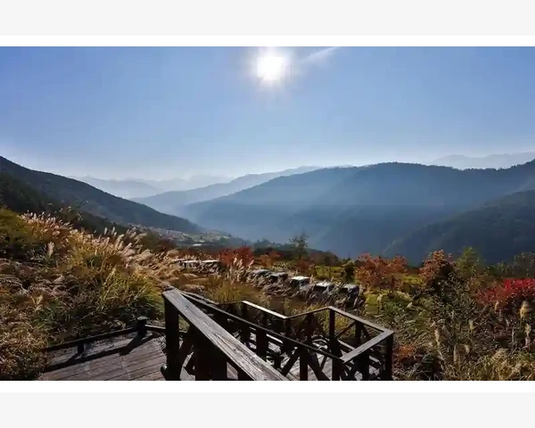 MT4电脑版交易历史记录查询实用步骤_价格预警声音的完整设置流程