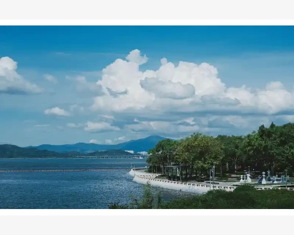 MT4电脑版版本兼容困局背后真相与应对思路_EA中如何获取入场价并触发自动止损