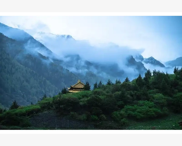汽车B2B平台如何重塑供应链效率_平台选型要关注行业垂直度