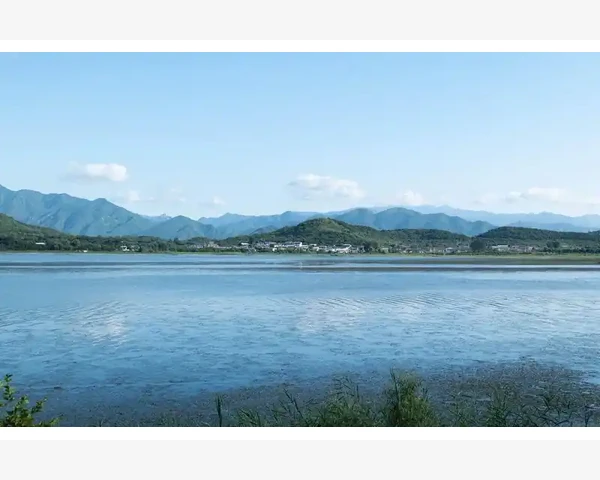 MT4电脑版邮件提醒失灵排查关键点_账号分组管理与模板联动